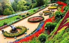 Top Destination